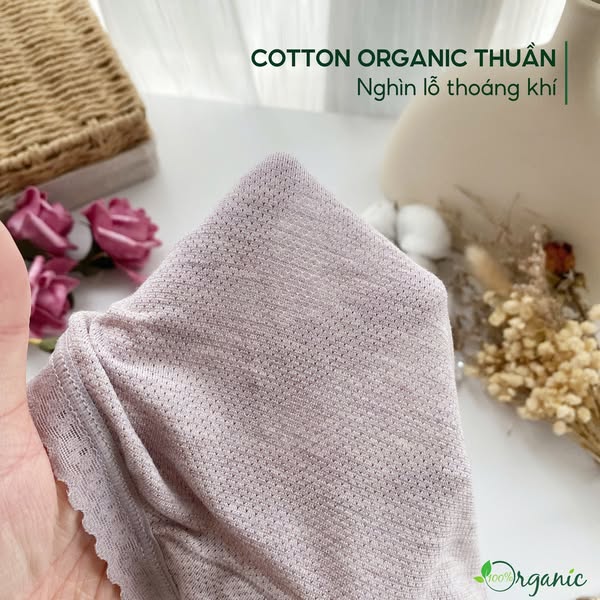 Pure Organic Cotton Panty - Packs of 6