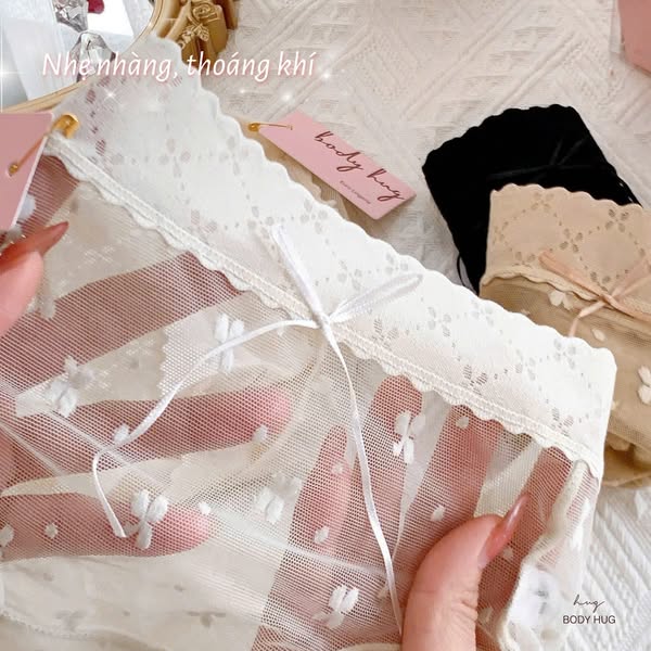 SilkRoute Embrace Panty - Packs of 10