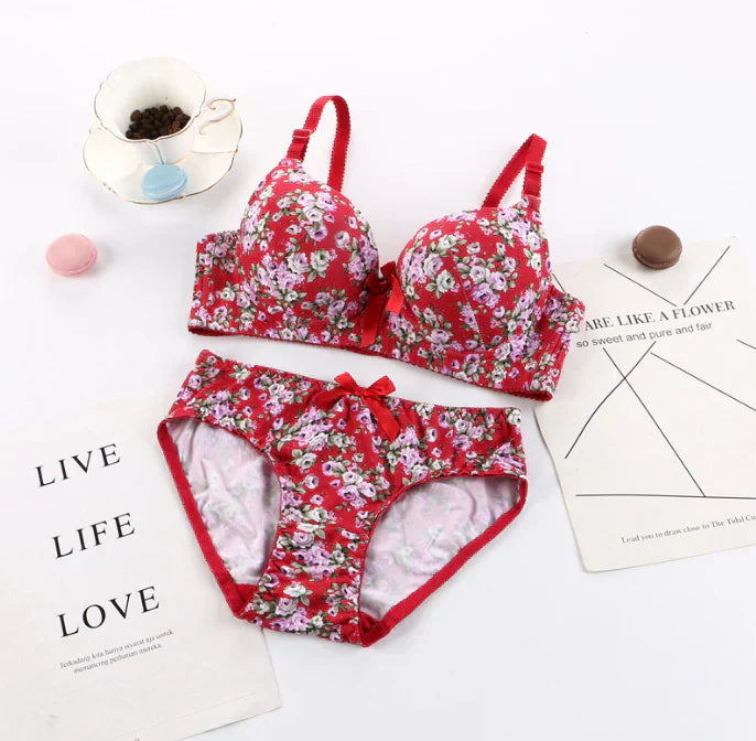 Combo Of 8 Bra & panties Set | BP-01