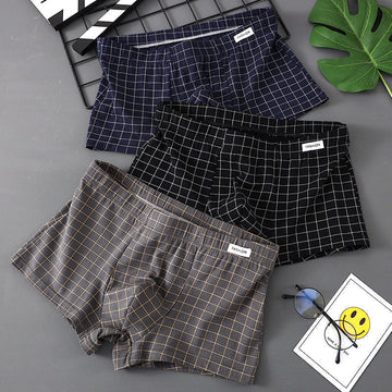 Ginseng Essence Checked Boxers | BS-04
