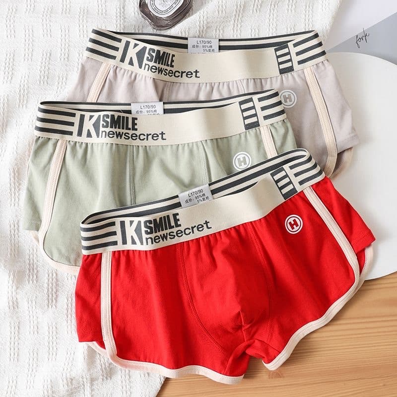 MEN'S BOXER, COTTON CELLULOSE BRIEFS | BS-06