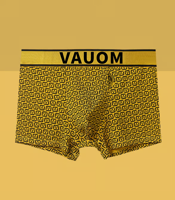 RoyalFit Boxers Briefs | BS-08
